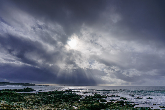 Stormy Day