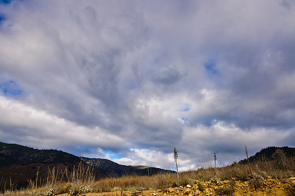 Mt. Palomar