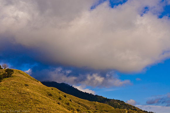 Mt. Palomar