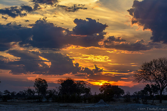 Sunset in the Bush