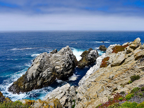 Point Lobos