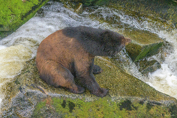 Alaska 2024