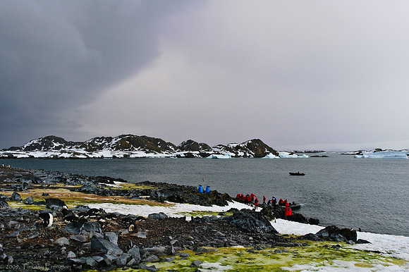 Torgerson Island