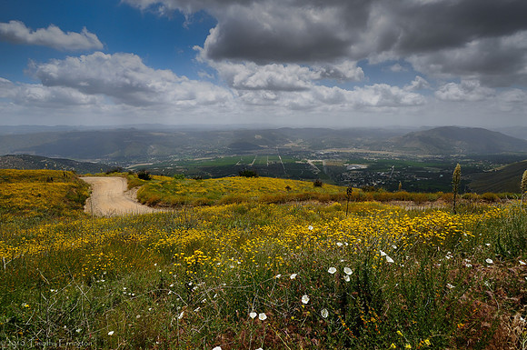 Mt. Palomar