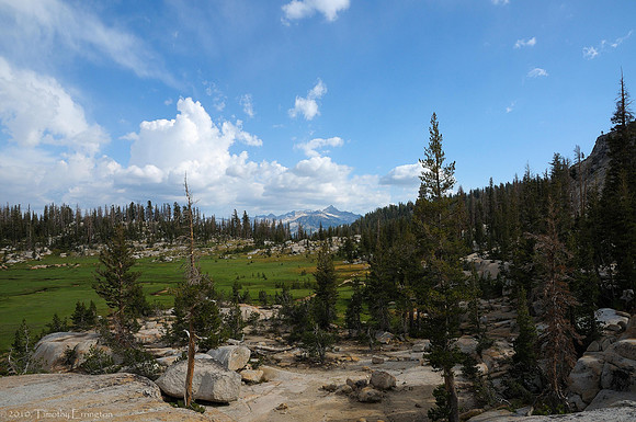 Long Meadow