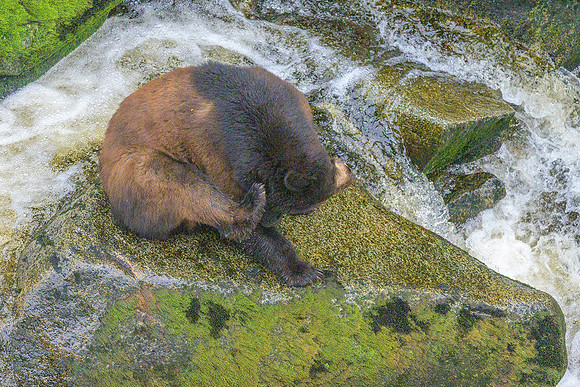 Alaska 2024
