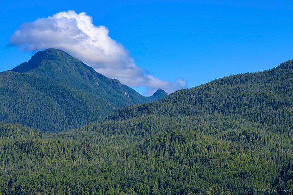 Alaska 2024