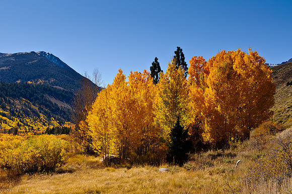 Green Creek