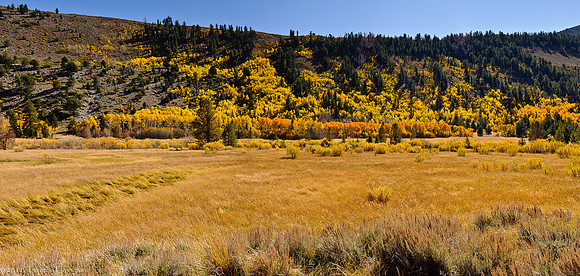 Green Creek