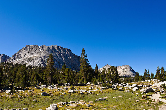 Trail to Tuolumne Meadows