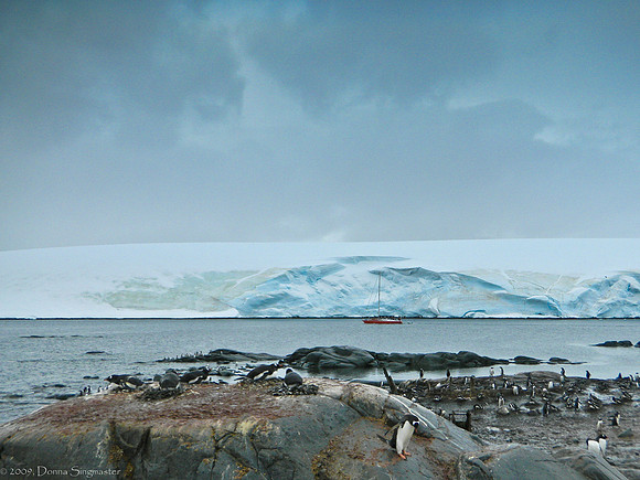 Port Lockroy