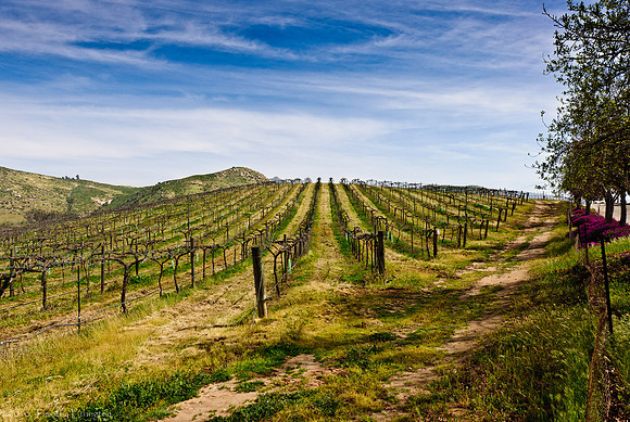 Fallbrook, CA