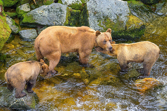 Alaska 2024