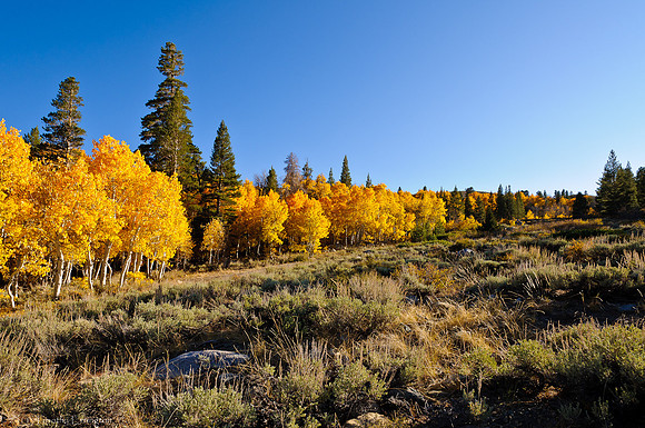 Virginia Lakes