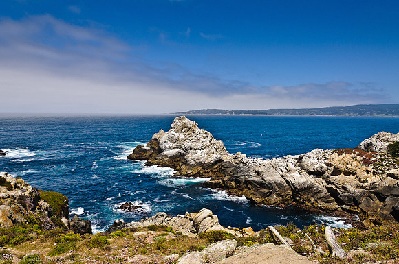 Point Lobos