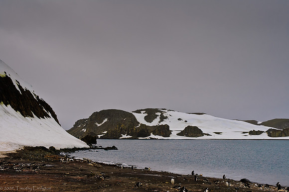 Aitcho Island