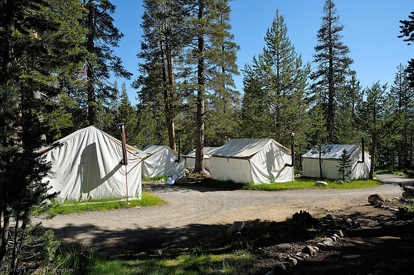 Tuolumne Meadows