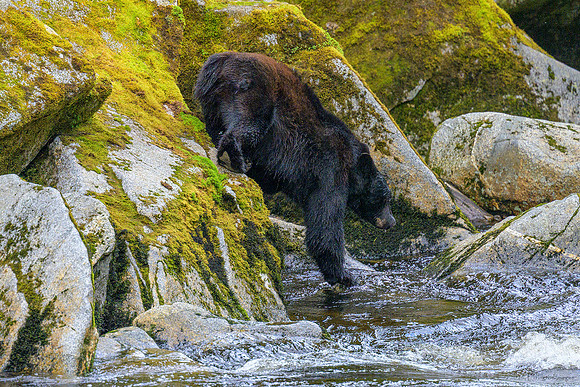 Alaska 2024