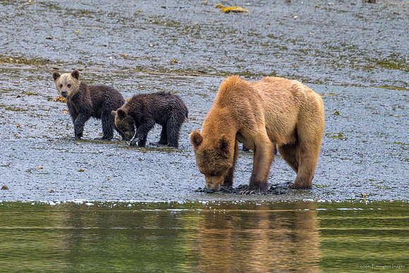 Alaska 2024