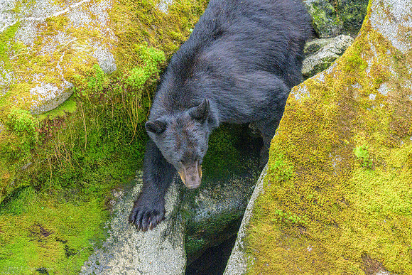 Alaska 2024