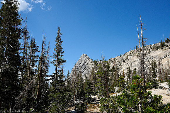 Trail to Merced Lake