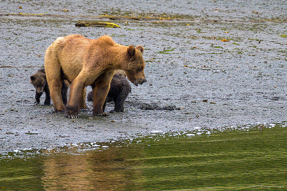 Alaska 2024