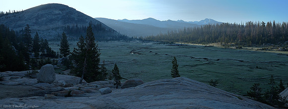 Long Meadow
