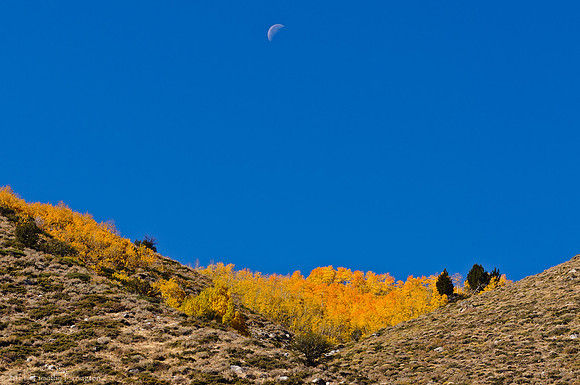 June Lake Loop
