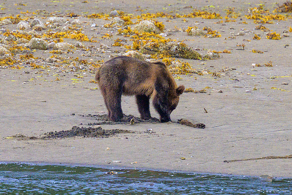 Alaska 2024