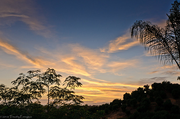 Paso del Cuervo