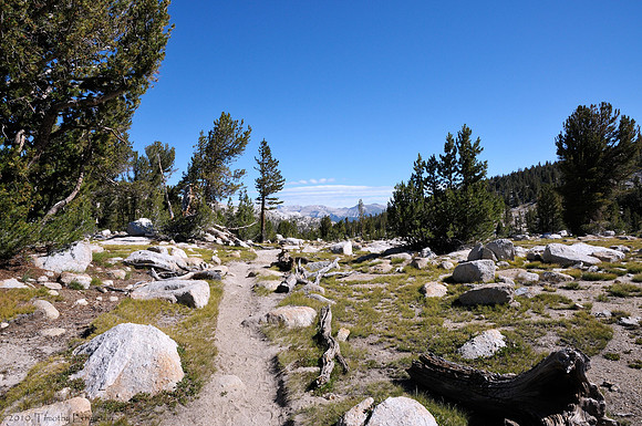 Trail to Tuolumne Meadows