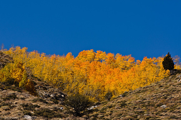 June Lake Loop