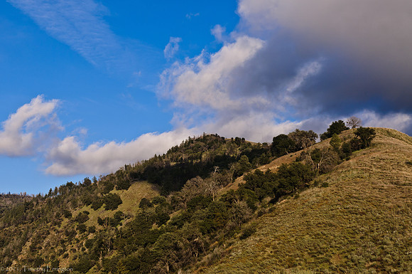Mt. Palomar