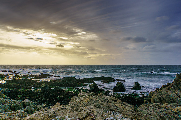 17 Mile Drive
