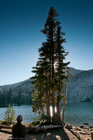May Lake