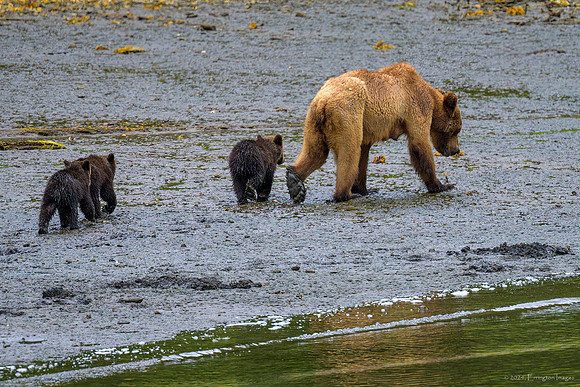 Alaska 2024
