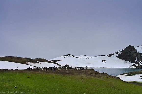 Aitcho Island
