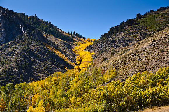 June Lake Loop