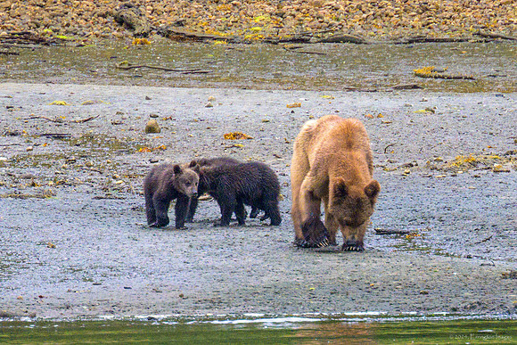 Alaska 2024