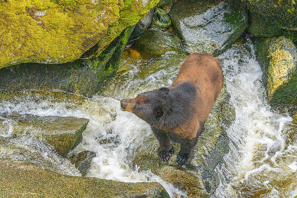 Alaska 2024