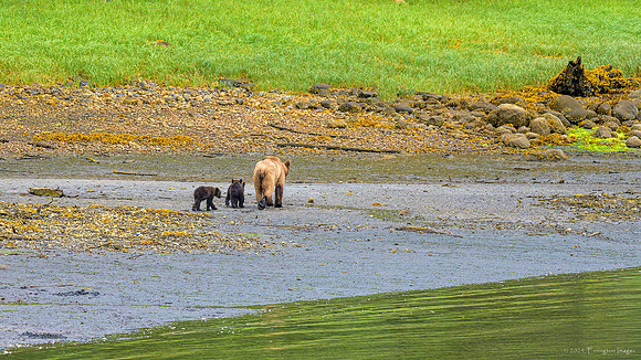 Alaska 2024