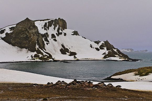 Aitcho Island