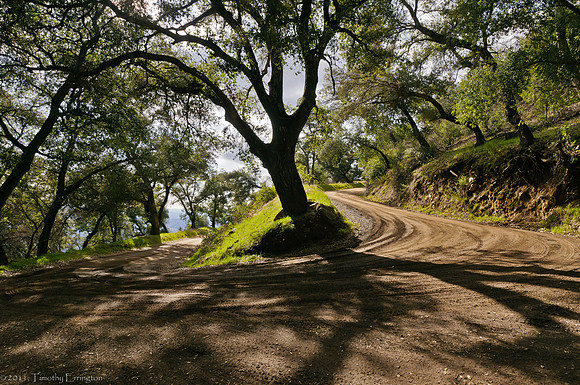 Mt. Palomar
