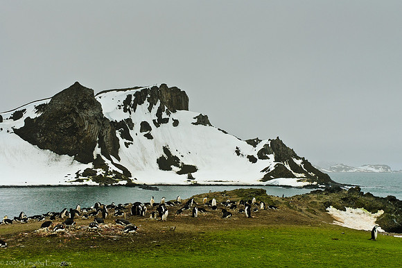 Aitcho Island