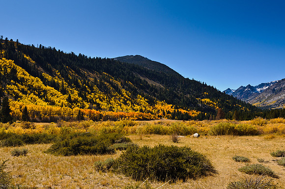 Green Creek