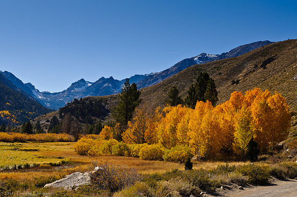 Green Creek