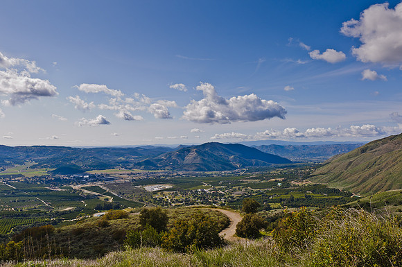 Mt. Palomar
