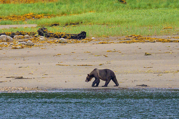 Alaska 2024