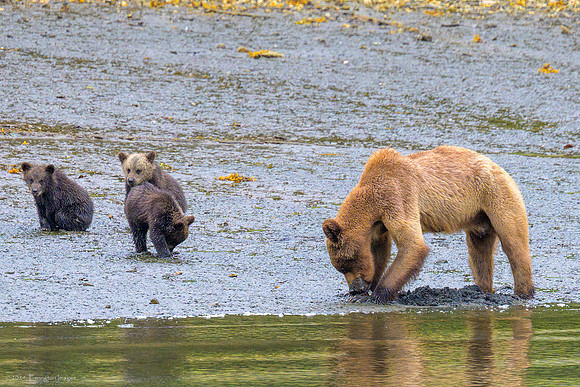Alaska 2024