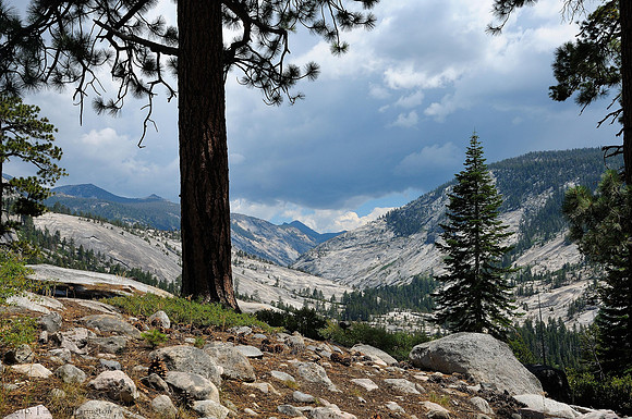 Trail to Merced Lake